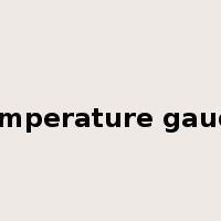 temperature gauge是什么意思