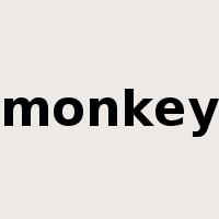 monkey是什么意思