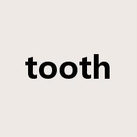 tooth是什么意思