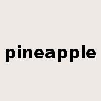 pineapple是什么意思