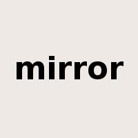 mirror是什么意思