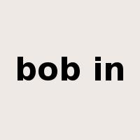 bob in是什么意思