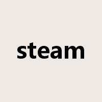 steam是什么意思