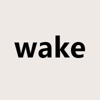 wake是什么意思