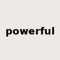 powerful是什么意思