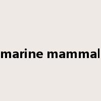 marine mammal是什么意思