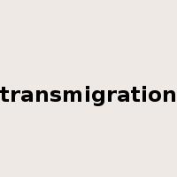 transmigration是什么意思