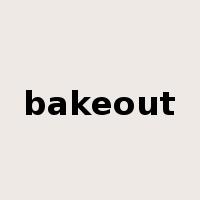 bakeout是什么意思