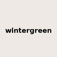 wintergreen是什么意思