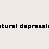 natural depression是什么意思