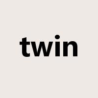 twin是什么意思
