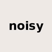 noisy是什么意思