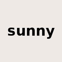 sunny是什么意思