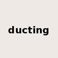ducting是什么意思