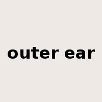 outer ear是什么意思