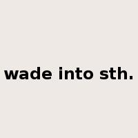 wade into sth.是什么意思