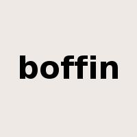 boffin是什么意思