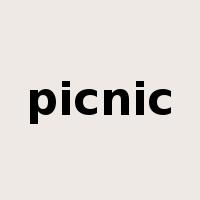 picnic是什么意思