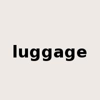 luggage是什么意思