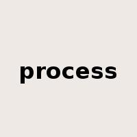 process是什么意思