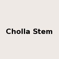 Cholla Stem是什么意思