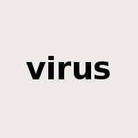virus是什么意思