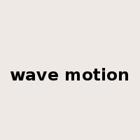 wave motion是什么意思