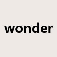 wonder是什么意思