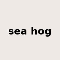 sea hog是什么意思