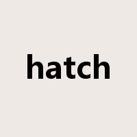 hatch是什么意思