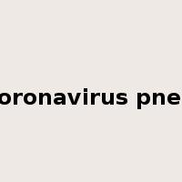 novel coronavirus pneumonia是什么意思