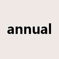 annual是什么意思
