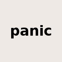 panic是什么意思