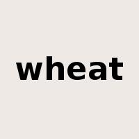 wheat是什么意思