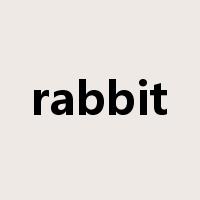 rabbit是什么意思