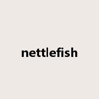 nettlefish是什么意思