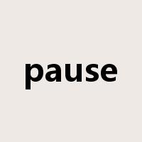 pause是什么意思