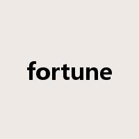 fortune是什么意思