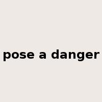 pose a danger是什么意思