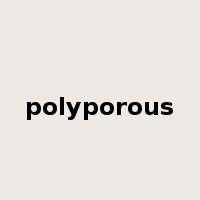 polyporous是什么意思