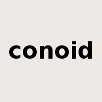 conoid是什么意思