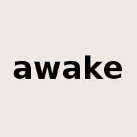 awake是什么意思