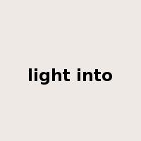 light into是什么意思