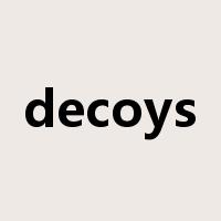decoys是什么意思
