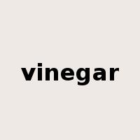 vinegar是什么意思