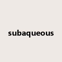 subaqueous是什么意思