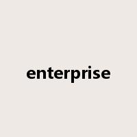 enterprise是什么意思