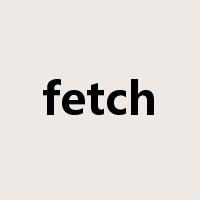 fetch是什么意思