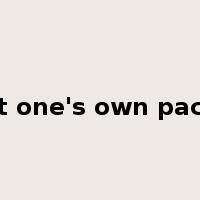 at one's own pace是什么意思