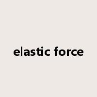 elastic force是什么意思